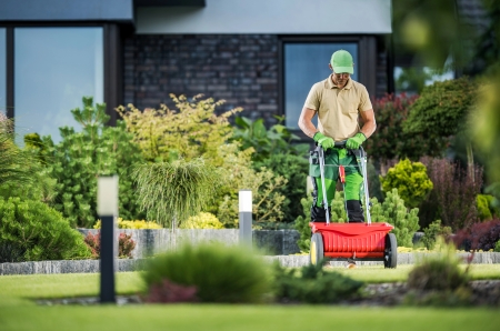 Fertilization Mistakes That Burn Lawns (And How Pros Avoid Them)