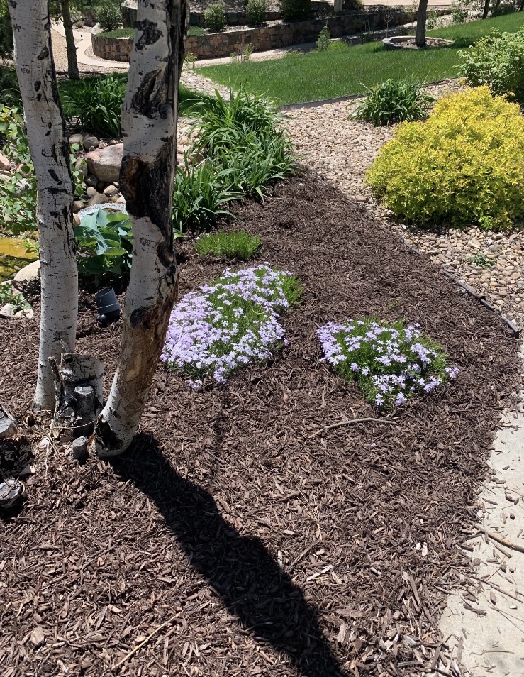 Garden Bed Rebuild and Refresh Services in Royse City, TX by Yard Up